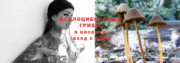 а пвп мука Кинешма