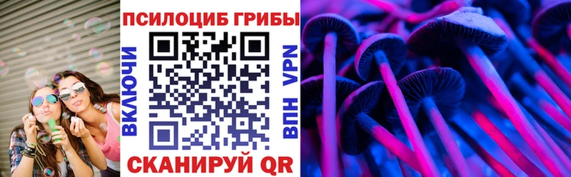ОМГ ОМГ   Элиста  Галлюциногенные грибы Psilocybine cubensis 