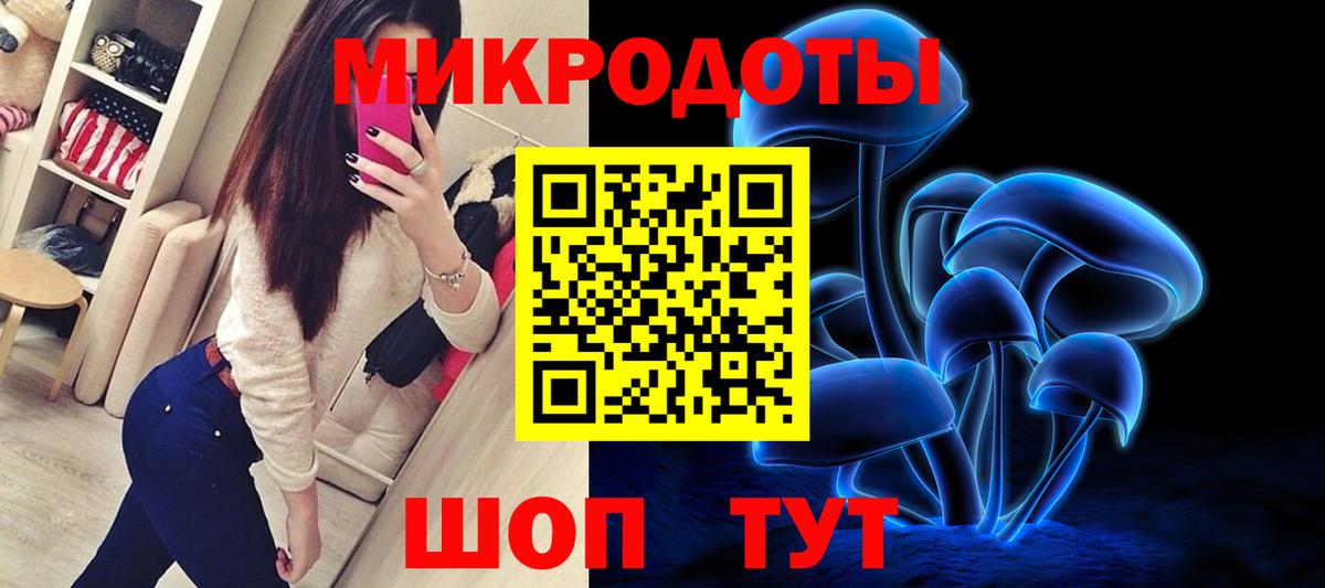 Элиста  Галлюциногенные грибы мицелий  Псилоцибиновые грибы MAGIC MUSHROOMS  Вход с VPN 