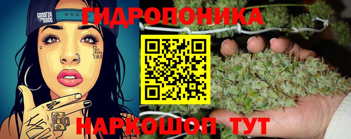 Бошки Шишки план  МАРИХУАНА SATIVA & INDICA  Бошки марихуана VHQ  Вход с VPN  Элиста 